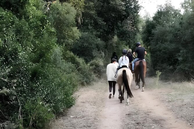 Horseback Riding Experience in Castel Fusano near Rome - Who Will Most Enjoy This Horseback Riding Experience in Castel Fusano