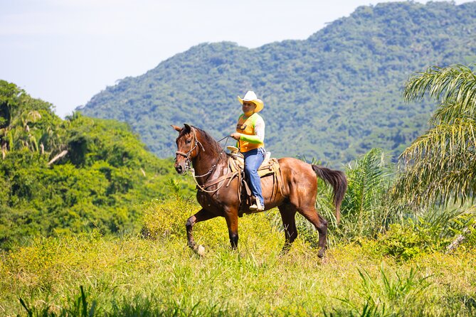 Horseback Riding Experience in Puerto Vallarta - Crossing the Worlds Longest Vehicular Suspension Bridge