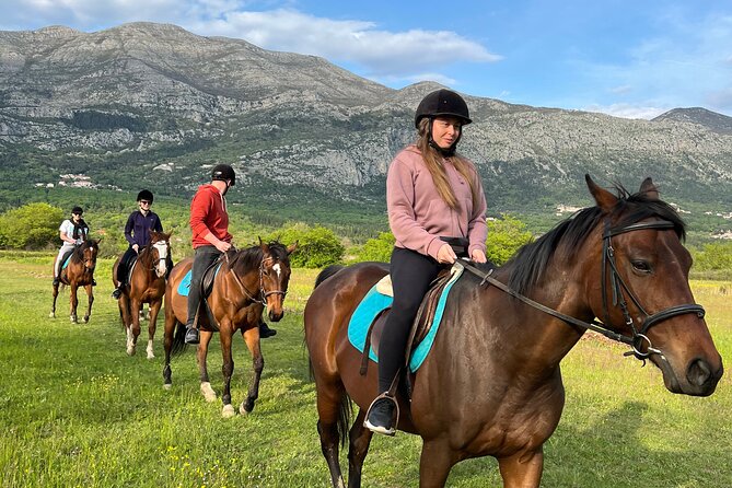 Horseback Riding Experience with transport from Dubrovnik - Key Points