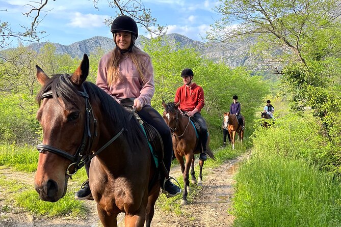 Horseback Riding Experience with transport from Dubrovnik - Meeting Point and Pickup Convenience