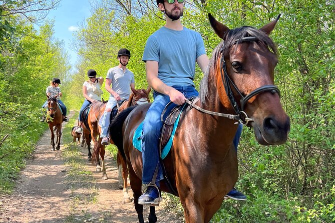 Horseback Riding Experience with transport from Dubrovnik - Practical Information and Booking Details