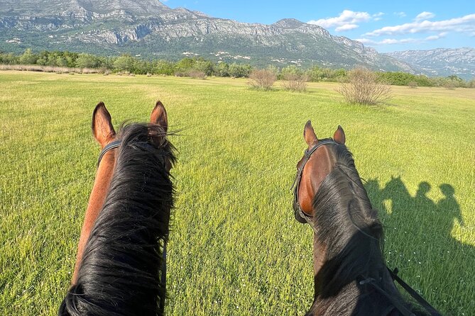 Horseback Riding Experience with transport from Dubrovnik - The Sum Up: Authentic Croatian Countryside on Horseback