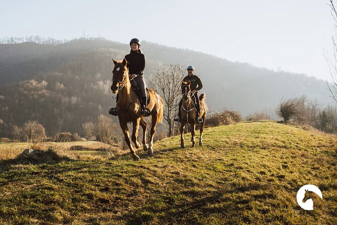 Horseback riding for experts between the lake and the mountains - Horseback riding for experts between the lake and the mountains: a detailed review