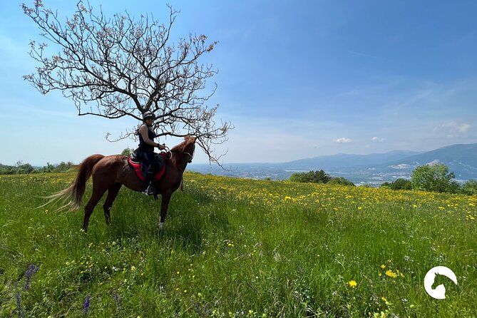 Horseback riding for experts between the lake and the mountains - Traditional farmhouse stop with local food and drinks