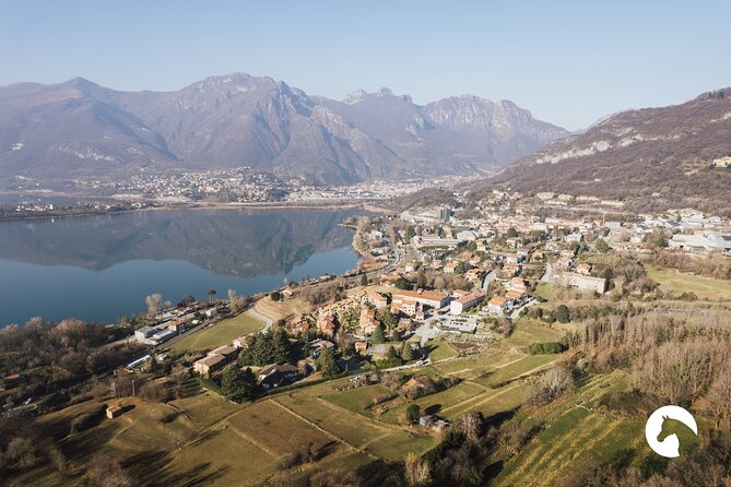 Horseback riding for experts between the lake and the mountains - The horses: thoroughbreds suited for experienced riders