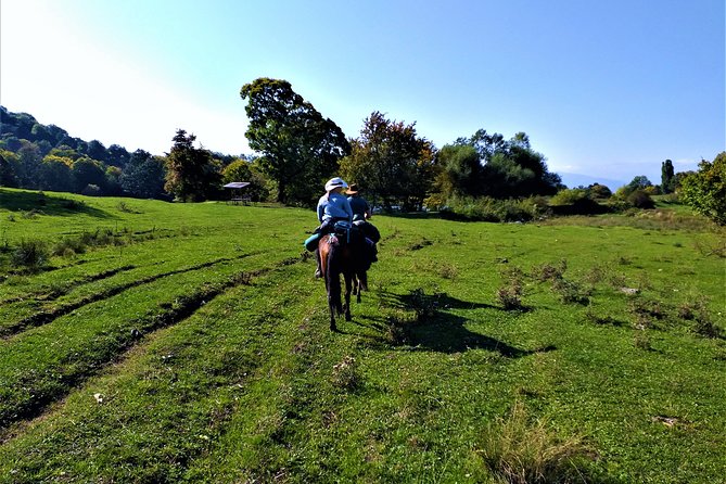 Horseback Riding in Armenia - Accommodation and Meal Arrangements