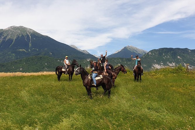 Horseback Riding In Bled - Safety and Accessibility