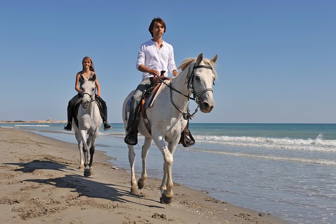 Horseback Riding in Bodrum - From the Hotel to the Forests: Hassle-Free Transfers