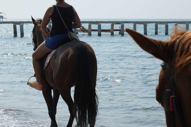 Horseback Riding in Bodrum - The Tour Experience for Beginners and Families