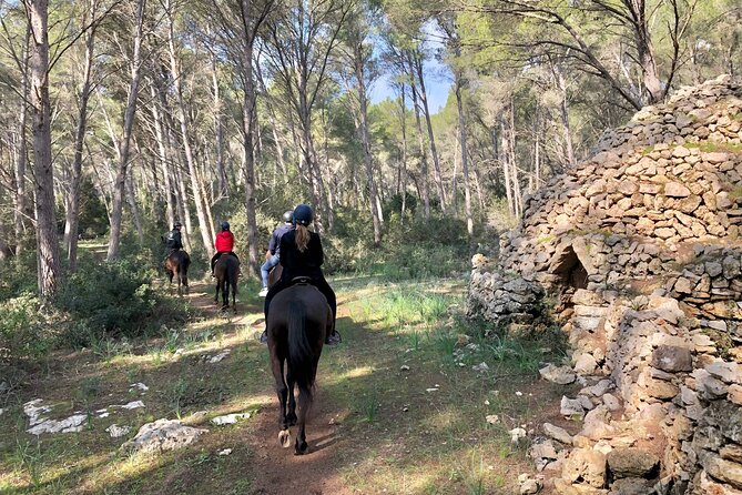 Horseback Riding in Cala Mitjana, Menorca, Spain - Logistics and Flexibility