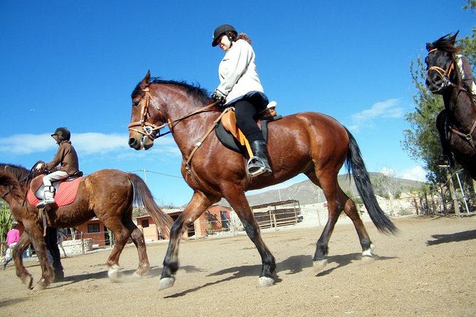 Horseback Riding in Fuerteventura for 1 or 2 hours, Spain - Exploring Fuerteventura’s Volcanic Interior on Horseback