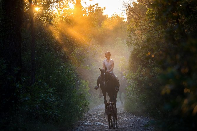 Horseback Riding in Konavle Region with Transport from Dubrovnik - Explore the Konavle Countryside with a Guided Horseback Ride from Dubrovnik