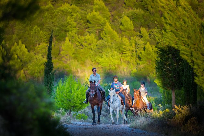 Horseback Riding in Konavle Region with Transport from Dubrovnik - Pickup and Transportation from Dubrovnik Hotels