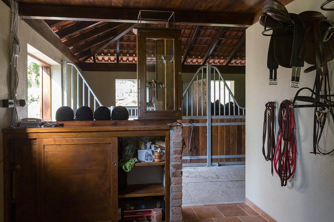 Horseback Riding in Konavle Region with Transport from Dubrovnik - Scenic Forest Trails and Coastal Paths