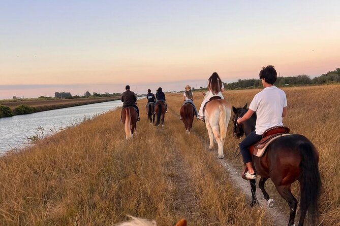 Horseback Riding in Miami - Key Points