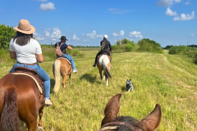 Horseback Riding in Miami - Logistics and Meeting Details