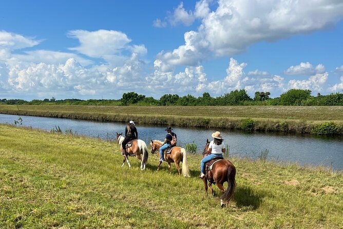 Horseback Riding in Miami - Comparing Horseback Riding to Other Miami Activities