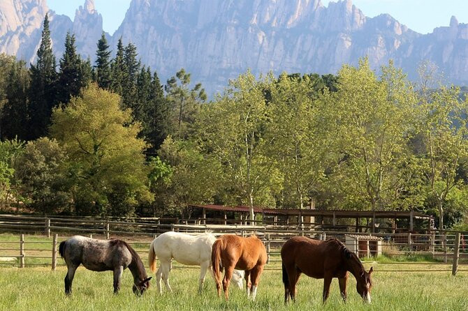 Horseback Riding in Montserrat Mountain Natural Park, Barcelona - 1 to 2 hrs - Professional Guides and Natural Dressage Techniques