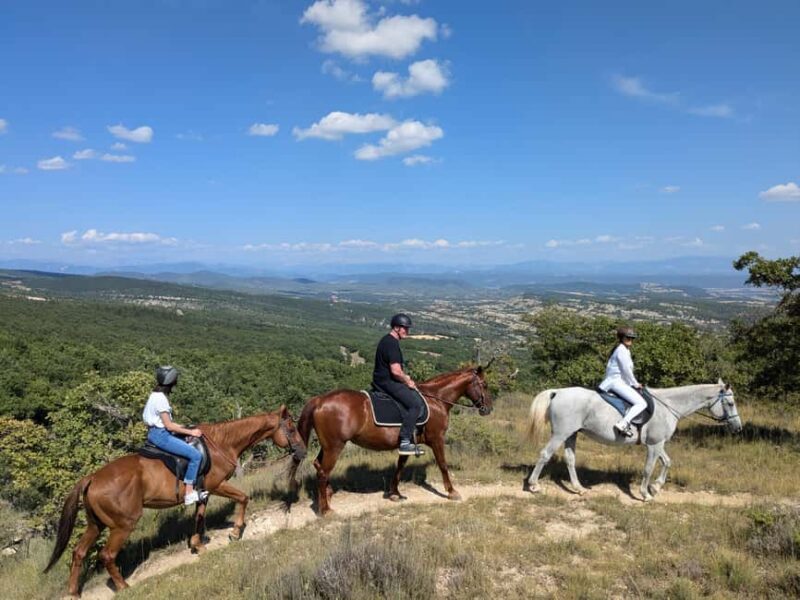 Horseback riding in Provence Luberon - What Riders Can Expect During the 2-Hour Experience