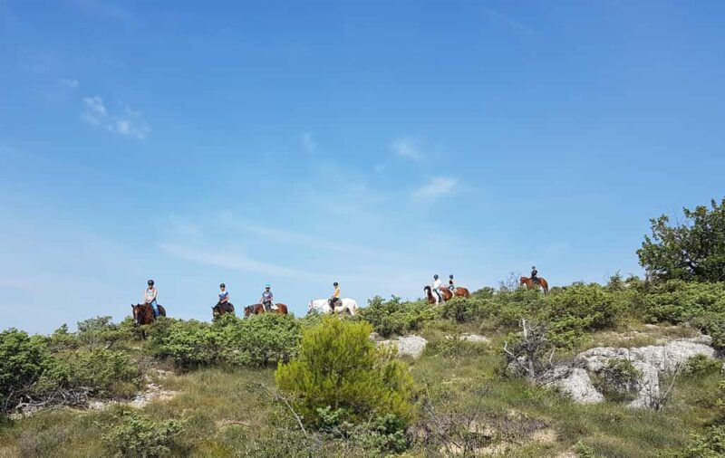 Horseback riding in Provence Luberon - Why This Tour Stands Out in Provence