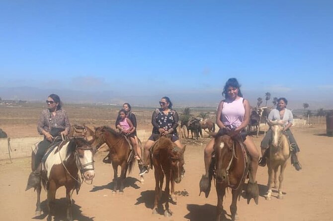 Horseback Riding in Punta Banda - What’s Included in the Tour