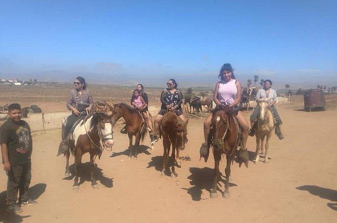 Horseback Riding in Punta Banda - How the Tour Is Different from Other Ensenada Activities