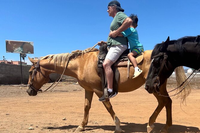 Horseback Riding in Punta Banda - The Sum Up: A Gentle Ride with Beautiful Ocean Views