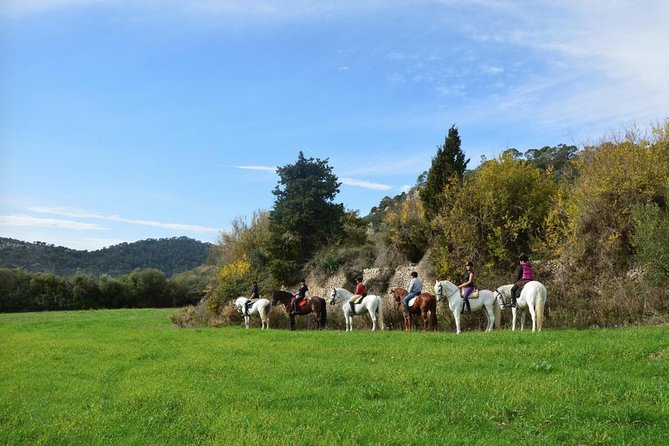 Horseback Riding in Randa Valleys, Mallorca, Spain - Discover the Charm of Mallorca’s Randa Valleys by Horseback