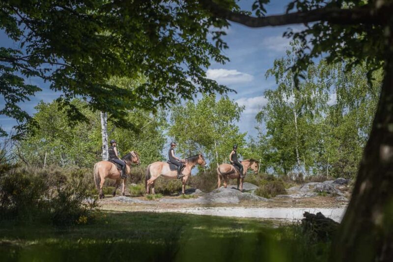 Horseback riding in the Fontainebleau forest - Specific Trails and Landscapes in Fontainebleau Forest