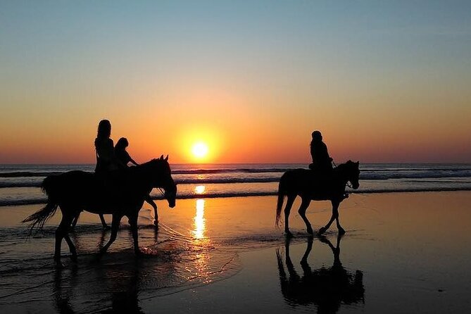 Horseback Riding in the sunset of Famara Beach, Lanzarote, Spain - Discover the Unique Sunset Horseback Ride at Famara Beach, Lanzarote