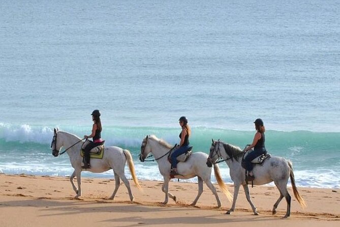 Horseback Riding in the sunset of Famara Beach, Lanzarote, Spain - The Experiences Strengths and Considerations