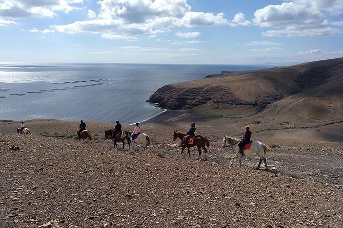 Horseback Riding in the sunset of Famara Beach, Lanzarote, Spain - Suitability for Different Travelers