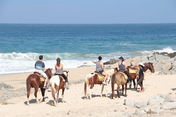 Horseback Riding on The Beach and Through The Desert! - Key Points