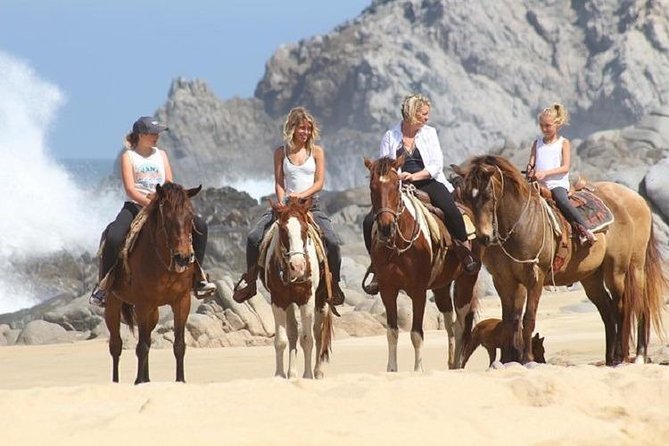 Horseback Riding on The Beach and Through The Desert! - The Quality of Horses and Guide Expertise