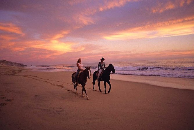 Horseback Riding on The Beach and Through The Desert! - Concerns and Limitations Mentioned in Reviews