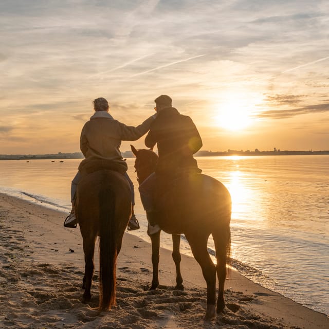 Horseback Riding On The Beach At Sunset - Discover Horseback Riding on the Beach at Sunset in Portugal