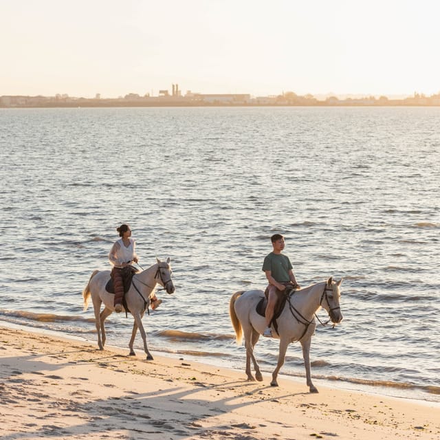 Horseback Riding On The Beach At Sunset - Key Points