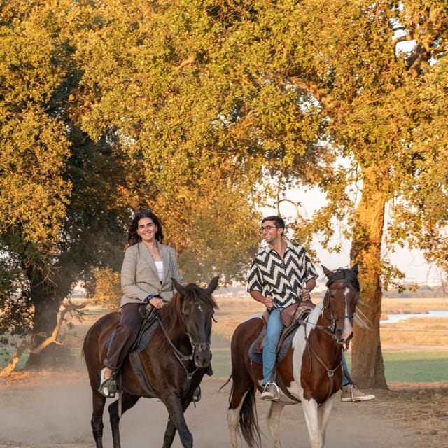 Horseback Riding On The Beach At Sunset - Riding on the Sand of Gaio Rosário River Beach