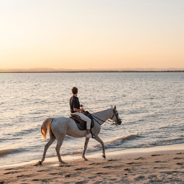 Horseback Riding On The Beach At Sunset - The Flexible Schedule and Tide-Based Timing