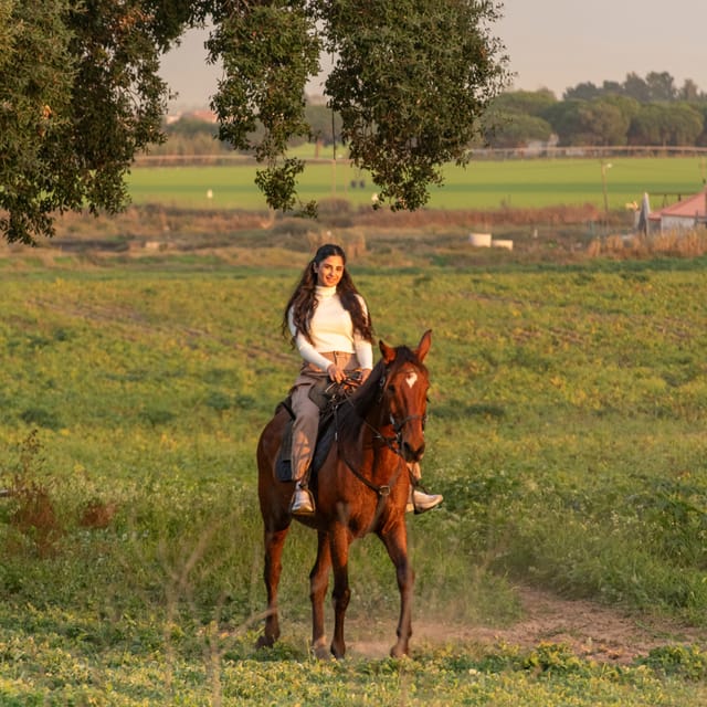 Horseback Riding On The Beach At Sunset - The Experience of Sunset on the River Beach