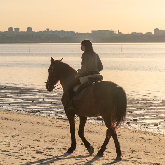 Horseback Riding On The Beach At Sunset - Logistics: Meeting Point and Group Size