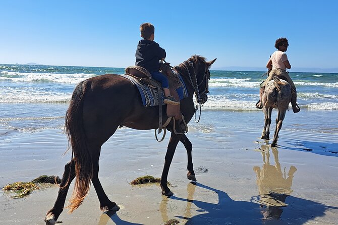 Horseback Riding on the Beach from Ensenada - Riding through Ensenada’s Scenic Desert Trails