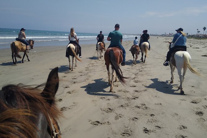 Horseback Riding on the Beach from Ensenada - Safety, Comfort, and Accessibility