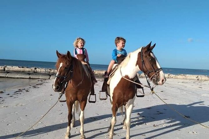 Horseback Riding on the Beaches of Holbox - Key Points