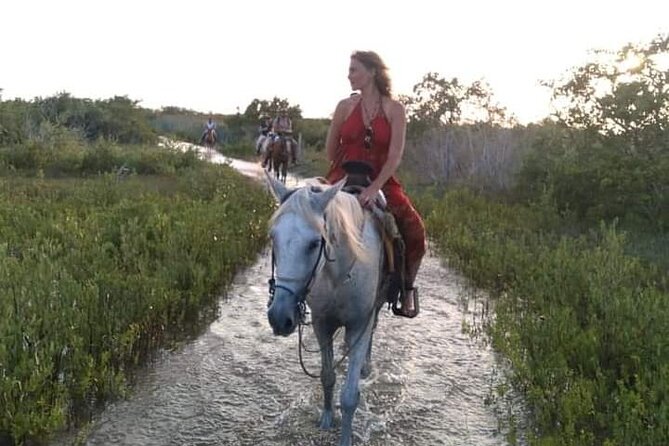 Horseback Riding on the Beaches of Holbox - Weather and Cancellation Policies