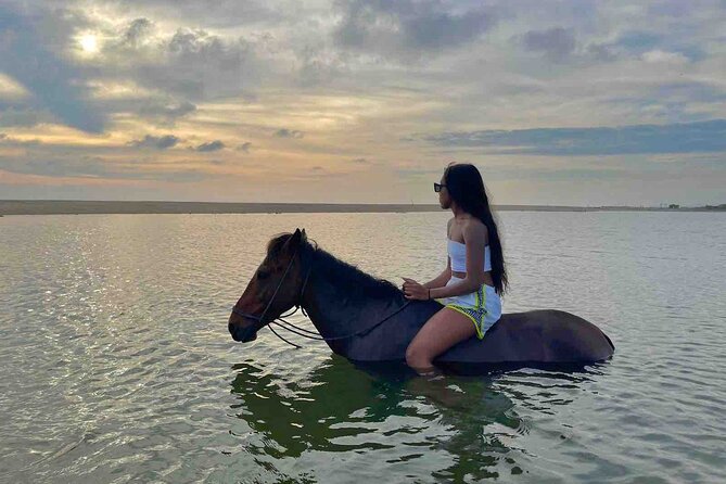 Horseback Riding on the Beaches of Holbox - Practical Tips for Booking and Participation