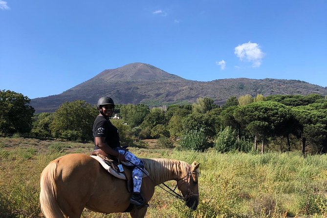 Horseback Riding on Vesuvius - The Horses and the Guides