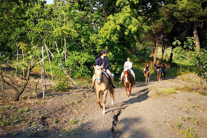 Horseback Riding on Vesuvius - Food, Wine, and Post-Ride Experiences