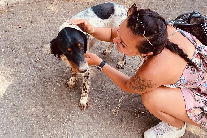 Horseback Riding on Vesuvius - Practical Tips and Considerations