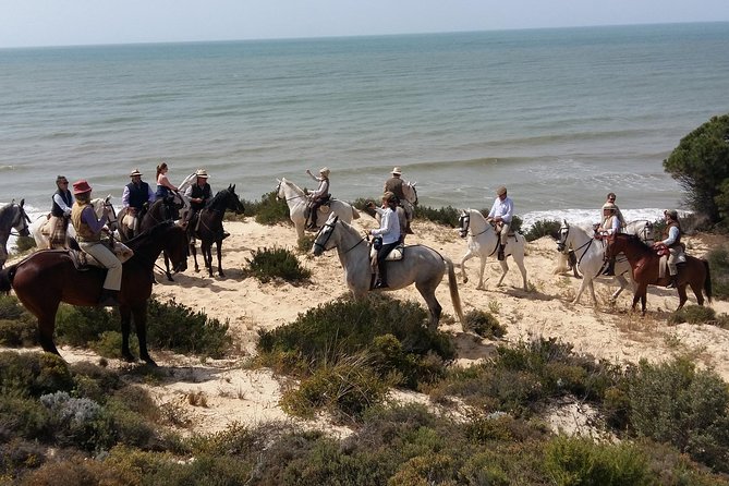 Horseback riding through Doñana and visit of El Rocio - Private tour - Exploring the Wilderness of Doñana’s Forests, Dunes, and Marshes